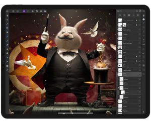 ipad Pro - display tablet for digital artist